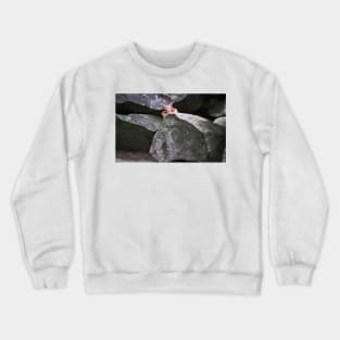 Well, Hello!! Crewneck Sweatshirt